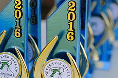 Annual Awards Celebration